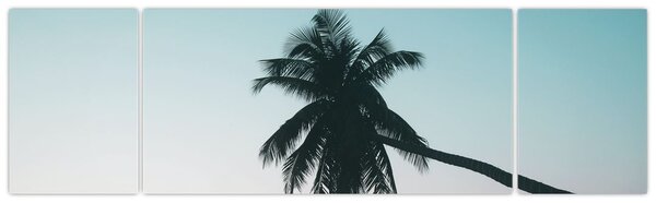 Obraz - Palma na Bali (170x50 cm)