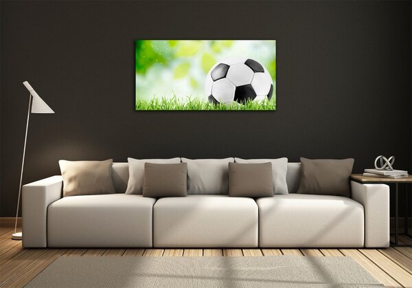 Foto-obraz fotografie na skle Fotbal osh-80877842
