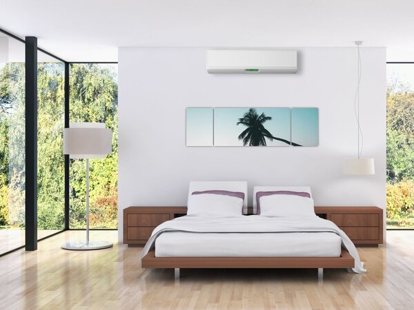 Obraz - Palma na Bali (170x50 cm)