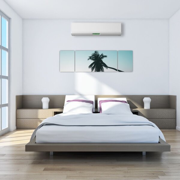Obraz - Palma na Bali (170x50 cm)