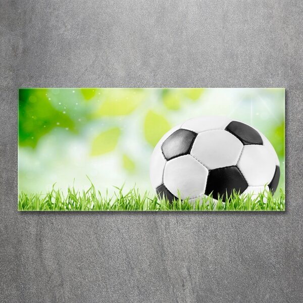 Foto-obraz fotografie na skle Fotbal osh-80877842