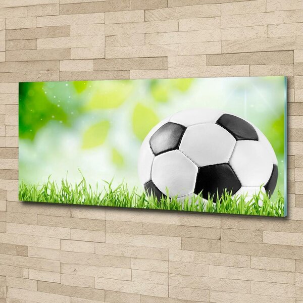 Foto-obraz fotografie na skle Fotbal osh-80877842
