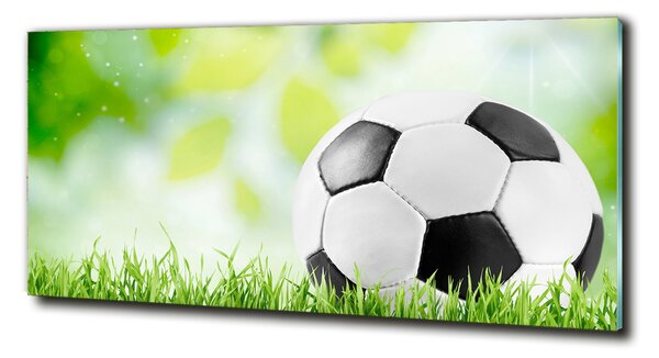 Foto-obraz fotografie na skle Fotbal osh-80877842