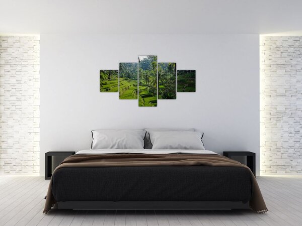 Obraz rýžových teras Tegalalang, Bali (125x70 cm)