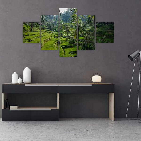 Obraz rýžových teras Tegalalang, Bali (125x70 cm)