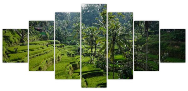 Obraz rýžových teras Tegalalang, Bali (210x100 cm)