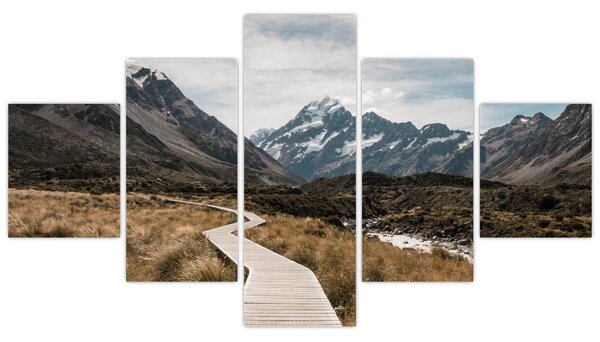 Obraz - Chodník v údolí hory Mt. Cook (125x70 cm)