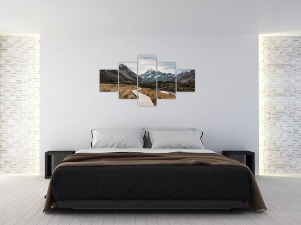 Obraz - Chodník v údolí hory Mt. Cook (125x70 cm)