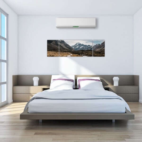 Obraz - Chodník v údolí hory Mt. Cook (170x50 cm)