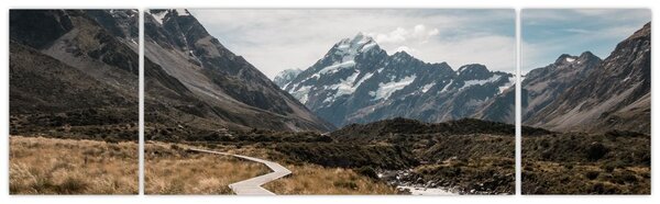 Obraz - Chodník v údolí hory Mt. Cook (170x50 cm)