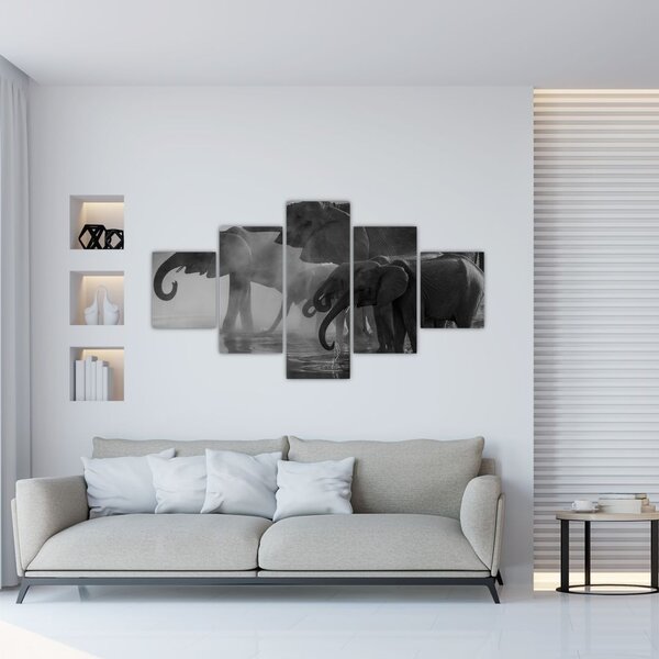 Obraz slonů - černobílý (125x70 cm)