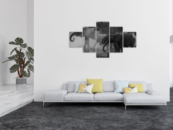 Obraz slonů - černobílý (125x70 cm)