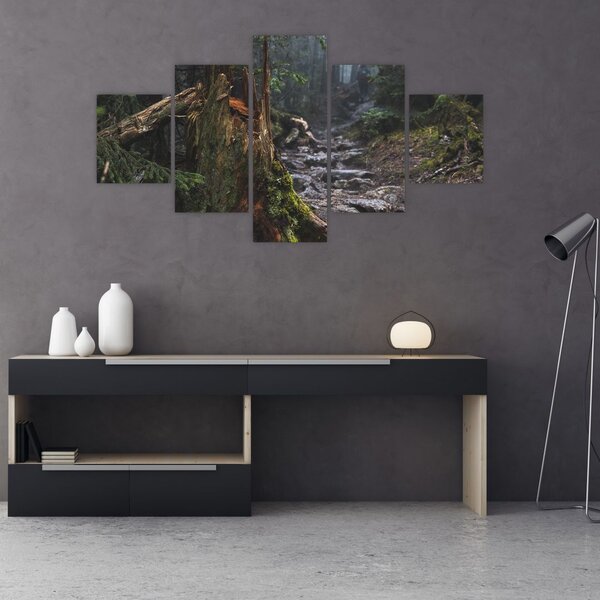 Obraz - V lese (125x70 cm)