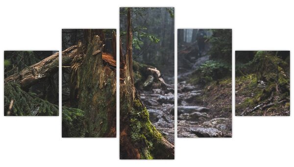 Obraz - V lese (125x70 cm)