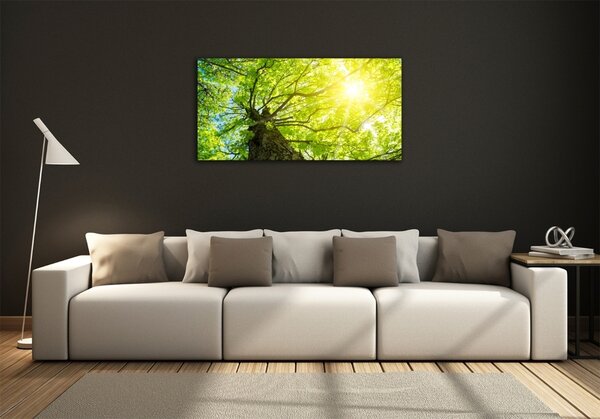 Foto obraz fotografie na skle Kaštan jaro osh-81707867