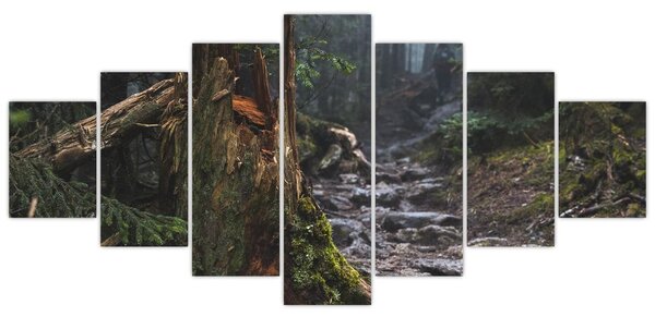 Obraz - V lese (210x100 cm)