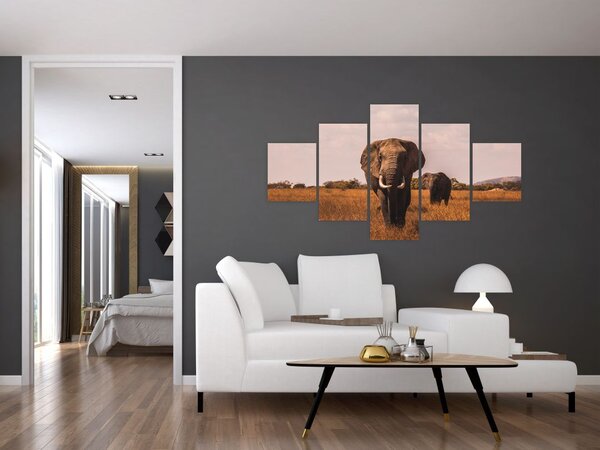 Obraz - Příchod slona (125x70 cm)