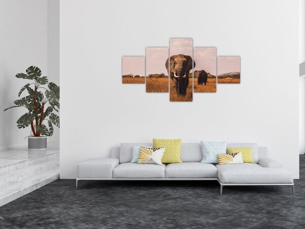 Obraz - Příchod slona (125x70 cm)