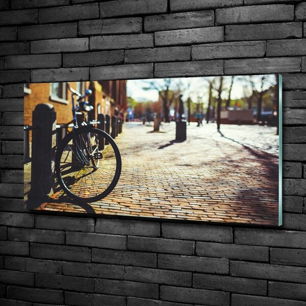 Foto-obrah sklo tvrzené Kolo Amsterdam osh-82036416