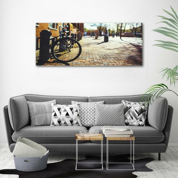 Foto-obrah sklo tvrzené Kolo Amsterdam osh-82036416