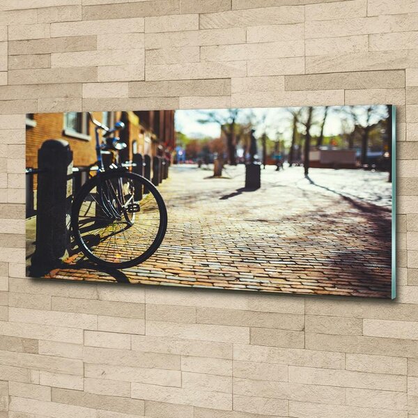 Foto-obrah sklo tvrzené Kolo Amsterdam osh-82036416