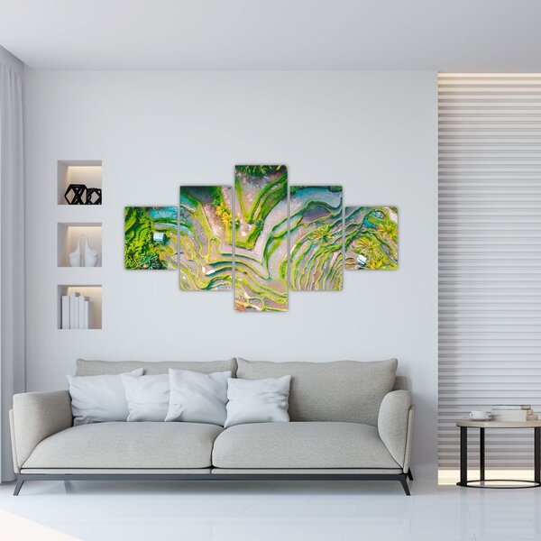 Obraz rýžových polí z ptačí perspektivy (125x70 cm)