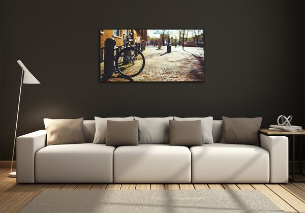 Foto-obrah sklo tvrzené Kolo Amsterdam osh-82036416