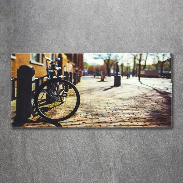 Foto-obrah sklo tvrzené Kolo Amsterdam osh-82036416