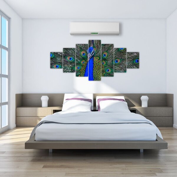 Obraz - Páv (210x100 cm)