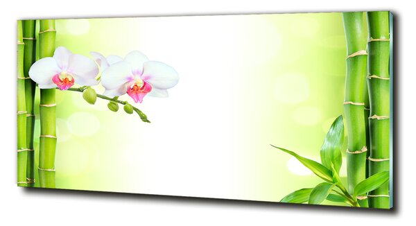 Fotoobraz na skle Orchidej a bambus osh-82165838