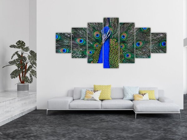 Obraz - Páv (210x100 cm)