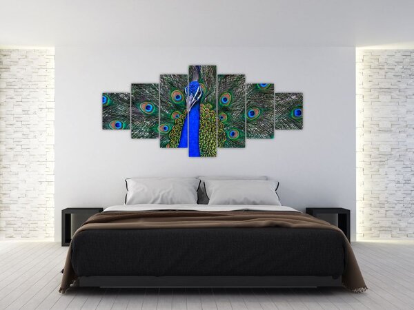 Obraz - Páv (210x100 cm)
