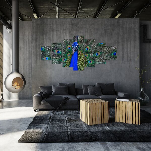 Obraz - Páv (210x100 cm)