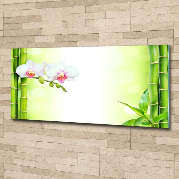 Fotoobraz na skle Orchidej a bambus osh-82165838