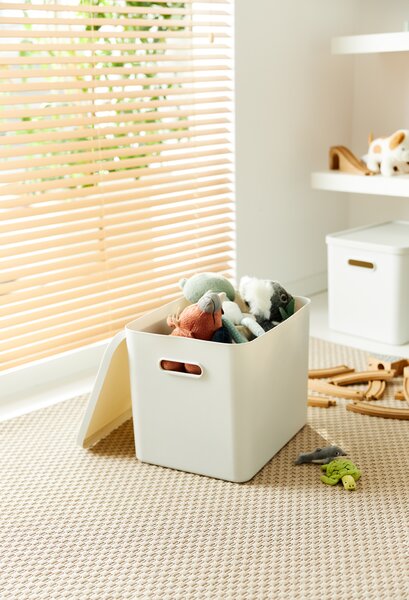 Rotho Úložný box, rovný s víkem, 27l, matně bílá ALBU LIGHT, 37x29x30