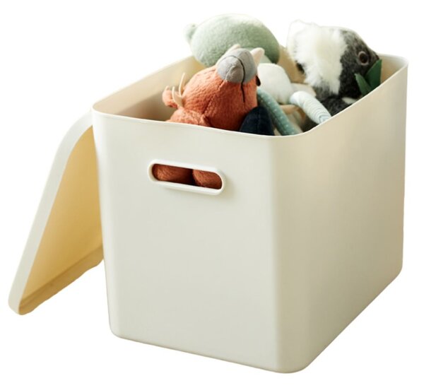 Rotho Úložný box, rovný s víkem, 27l, matně bílá ALBU LIGHT, 37x29x30