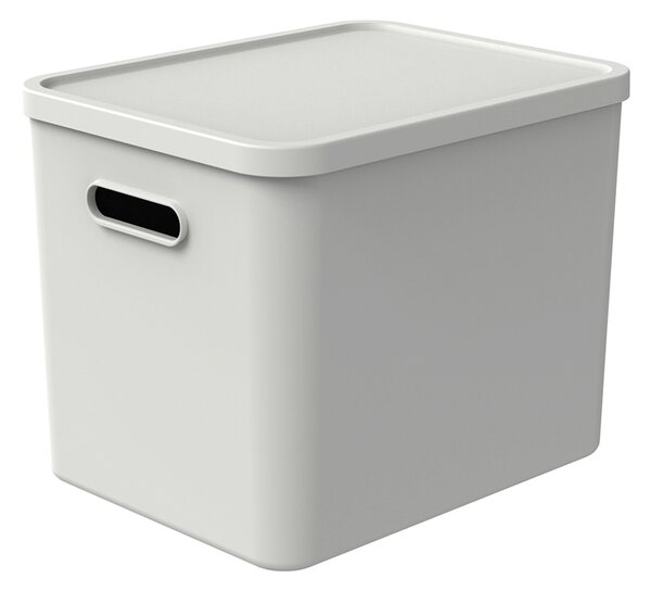 Rotho Úložný box, rovný s víkem, 27l, matně bílá ALBU LIGHT, 37x29x30