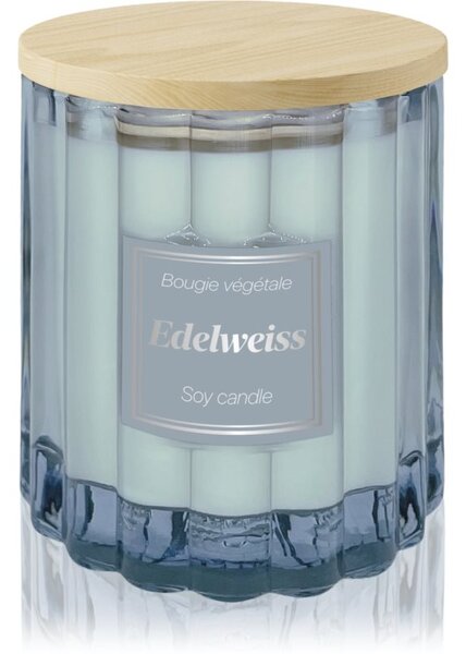 Esprit Provence Edelweiss vonná svíčka s víčkem 100 g
