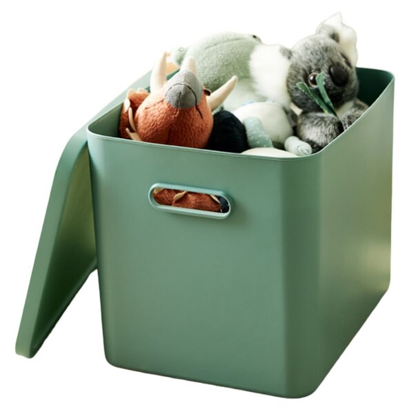 Rotho Úložný box, rovný s víkem, 27l, matně zelená ALBU LIGHT, 37x29x30