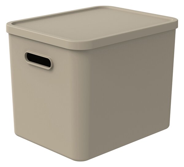 Rotho Úložný box, rovný s víkem, 27l, béžová ALBU LIGHT, 37x29x30