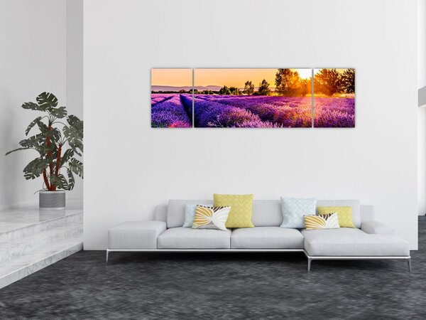 Obraz levandulového pole, Provence (170x50 cm)