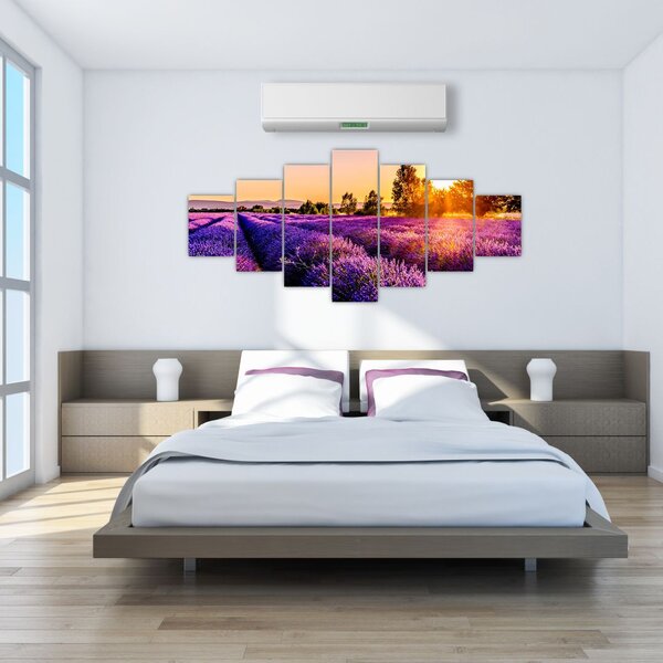 Obraz levandulového pole, Provence (210x100 cm)