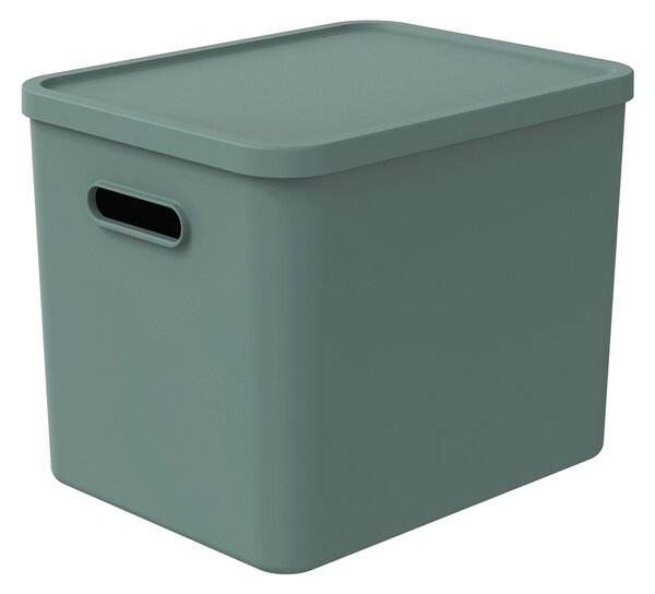 Rotho Úložný box, rovný s víkem, 27l, matně zelená ALBU LIGHT, 37x29x30