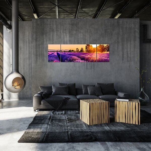 Obraz levandulového pole, Provence (170x50 cm)