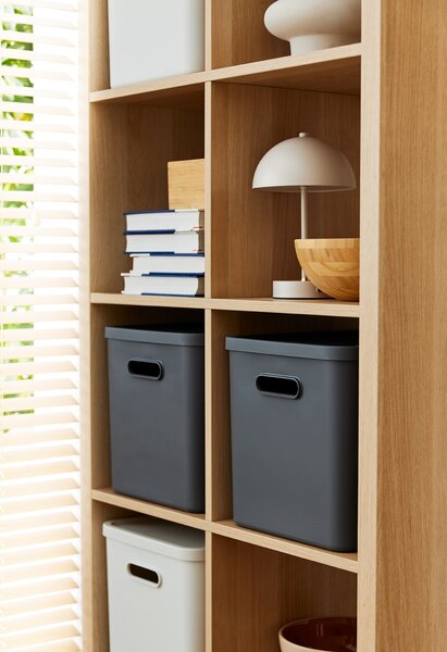 Rotho Úložný box, rovný s víkem, 27l, antracit ALBU LIGHT, 37x29x30