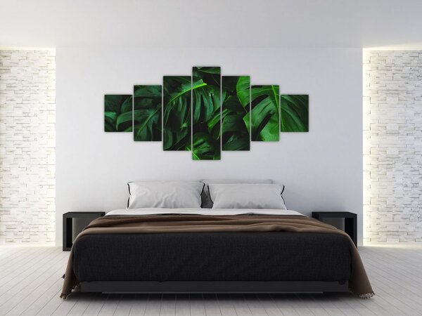 Obraz listů Monstery (210x100 cm)