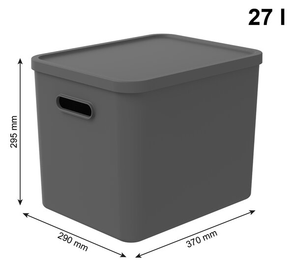 Rotho Úložný box, rovný s víkem, 27l, antracit ALBU LIGHT, 37x29x30