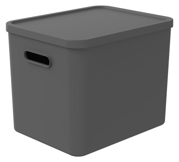 Rotho Úložný box, rovný s víkem, 27l, antracit ALBU LIGHT, 37x29x30