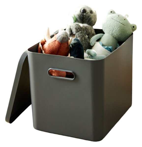 Rotho Úložný box, rovný s víkem, 27l, antracit ALBU LIGHT, 37x29x30