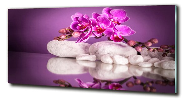 Foto obraz sklo tvrzené Růžová orchidej osh-82457632